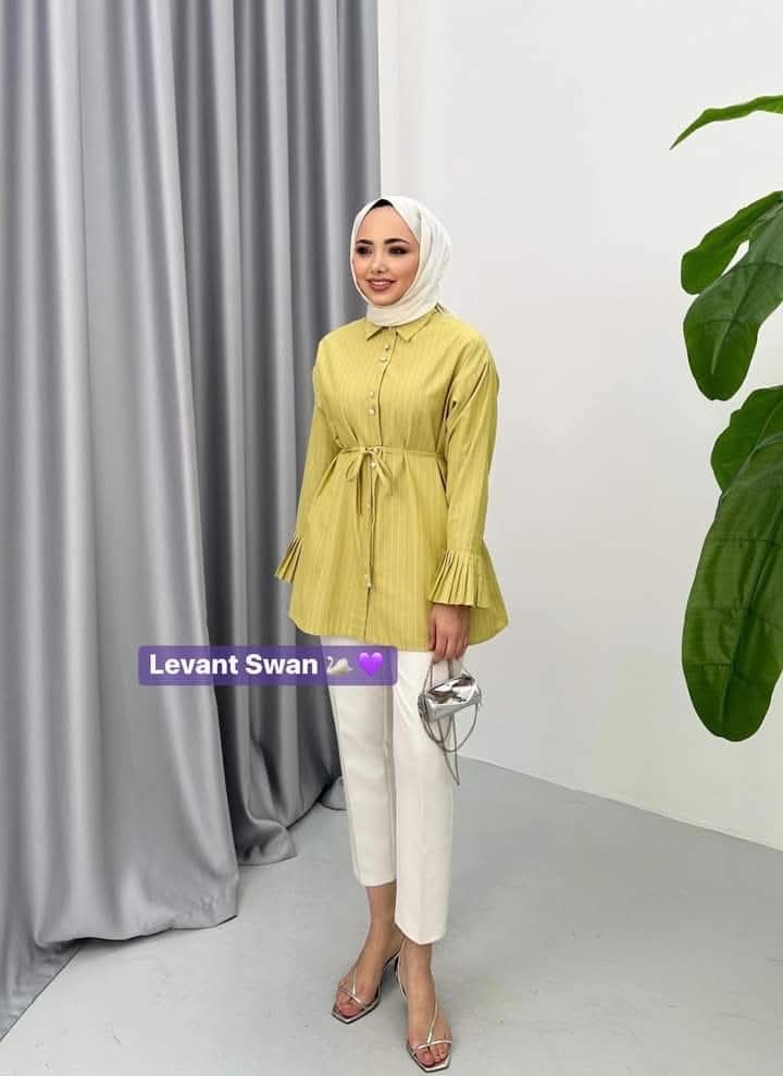 Striped Pleated Sleeve Shirt with Belt – Elegant Casual Blouse